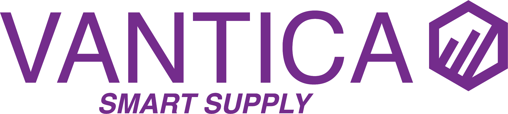 Vantica Smart Supply — Branding